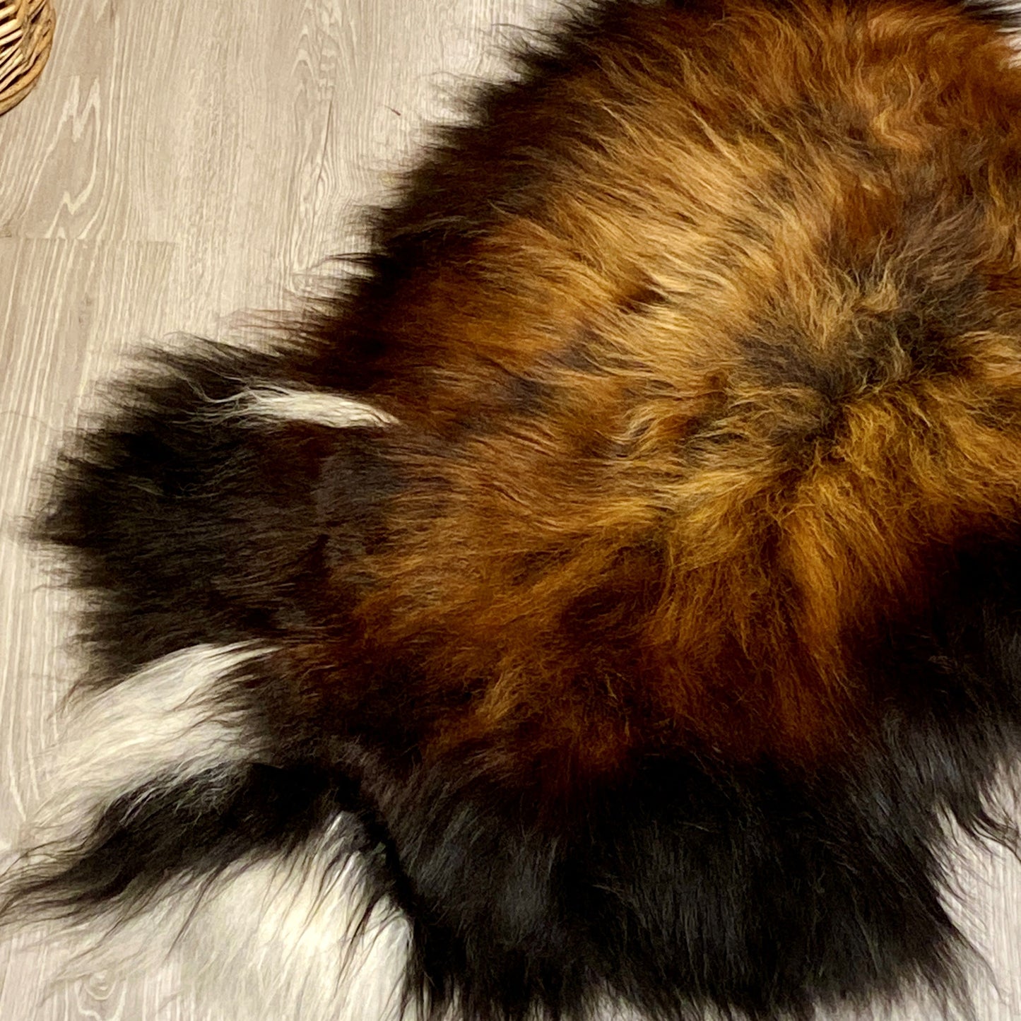 Island Schaffell Einzelstück schwarz gold