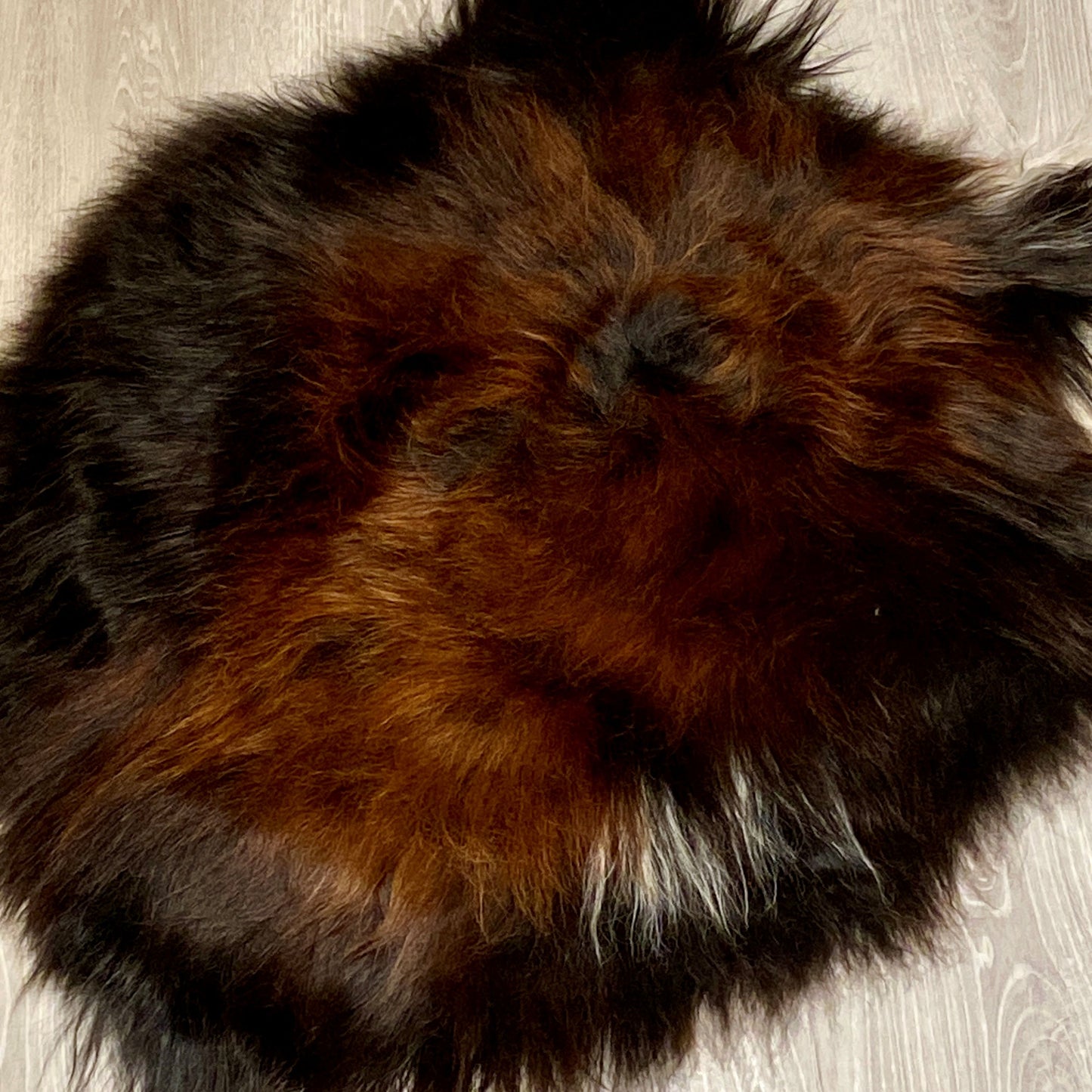 Island Schaffell Einzelstück schwarz gold