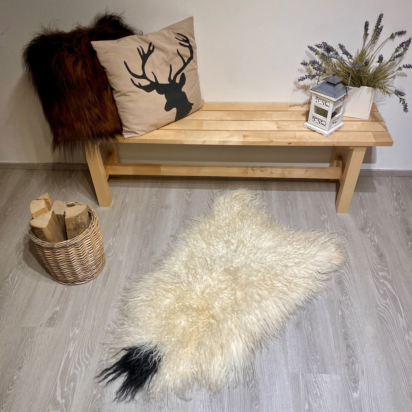 Island Schaffell gelockt weiß mit schwarzem nacken