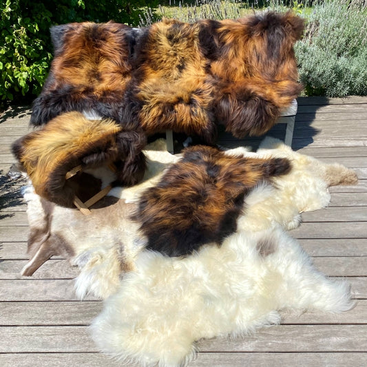 Island Schaffell Schwarz Goldbraun