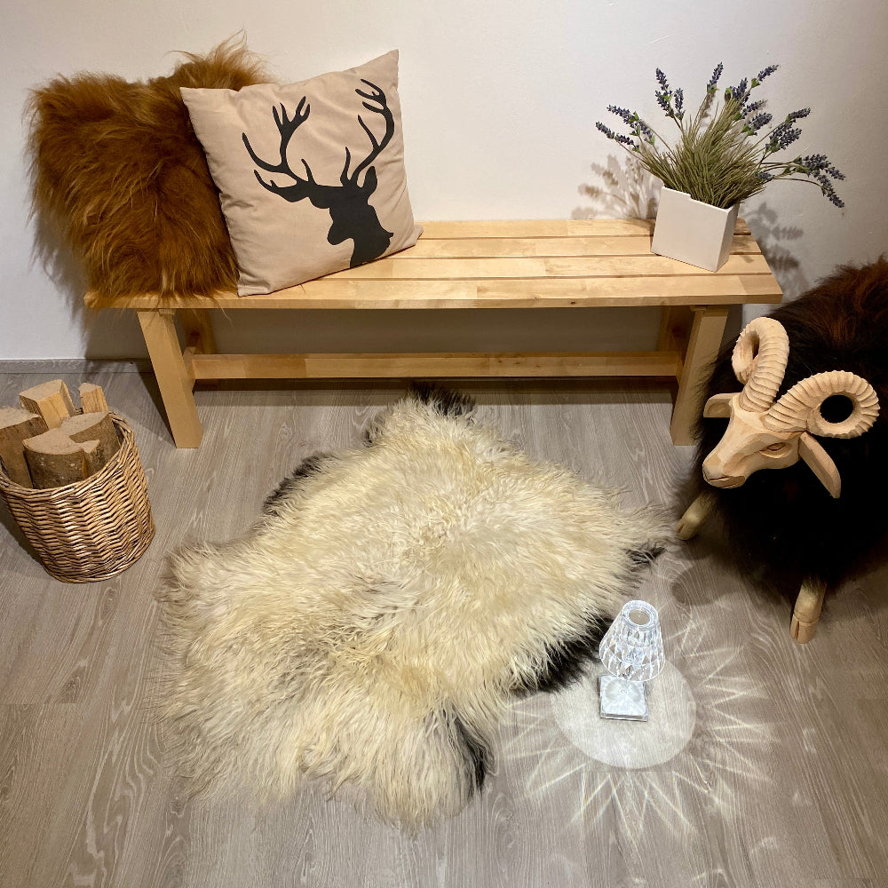 Island Schaffell gelockt