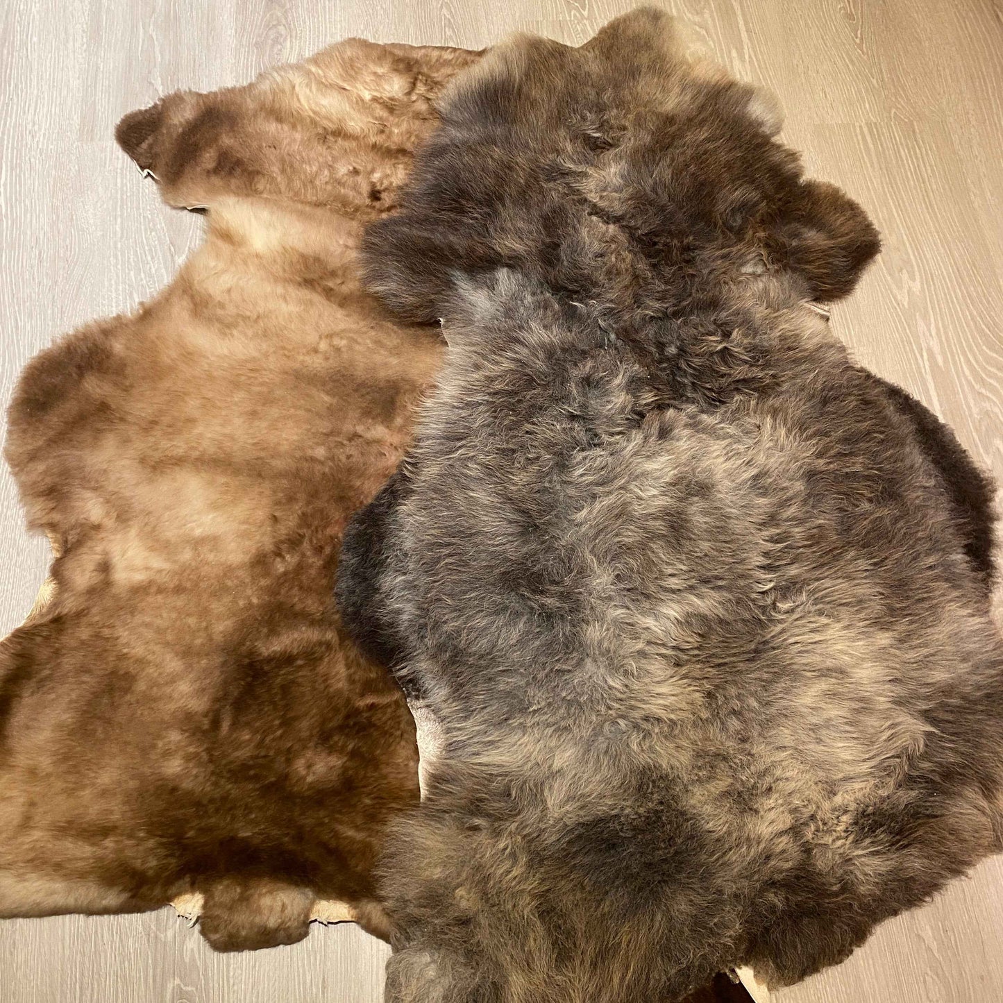 Schaffell B Warel | Dunkle Farbgebung | Länge: 100-120cm