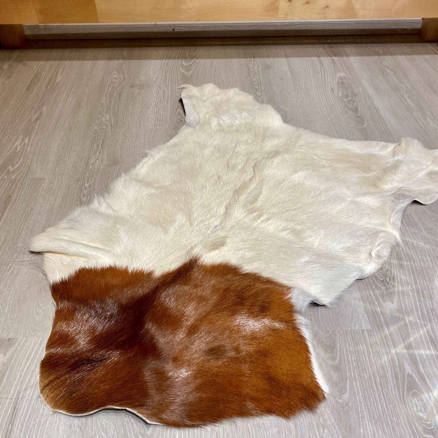 Ziegenfell Einzelstück | Größe: 80x50cm | Nr: 558 - FellHaus