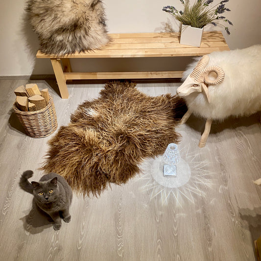 Island Schaffell gelockt Einzelstück | Größe 120x80cm | Nr:1391