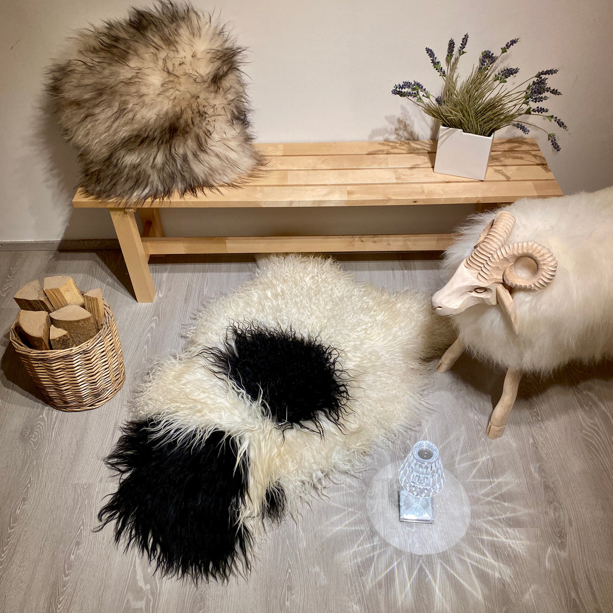 Island Schaffell gelockt Einzelstück | Größe 120x80cm | Nr:1389