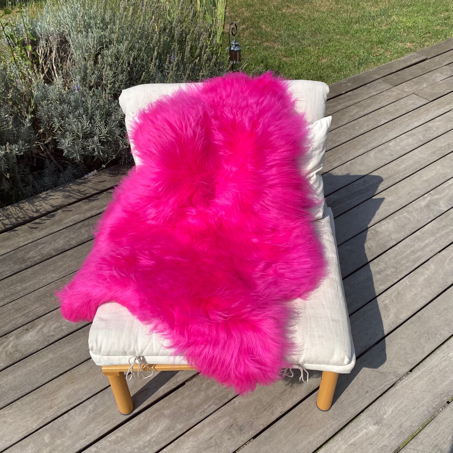 Iceland sheepskin pink