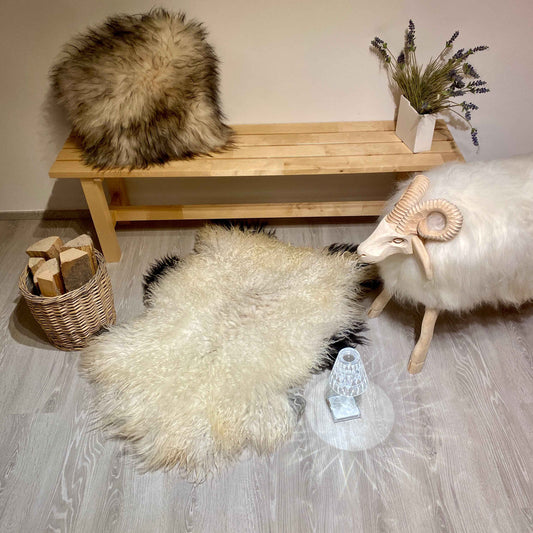 Island Schaffell gelockt Einzelstück | Größe 120x80cm | Nr:1209