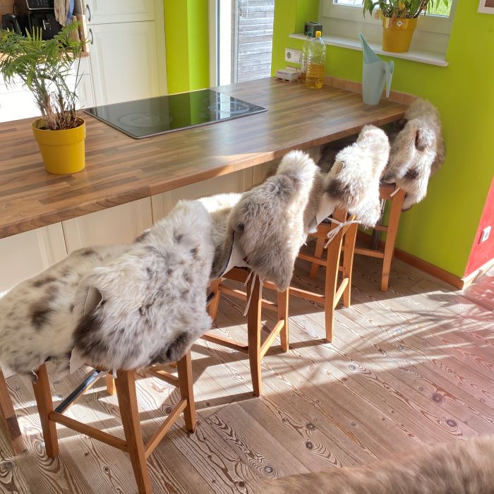 Schaffell Einzelstück | Größe 105x70cm | Nr: 226