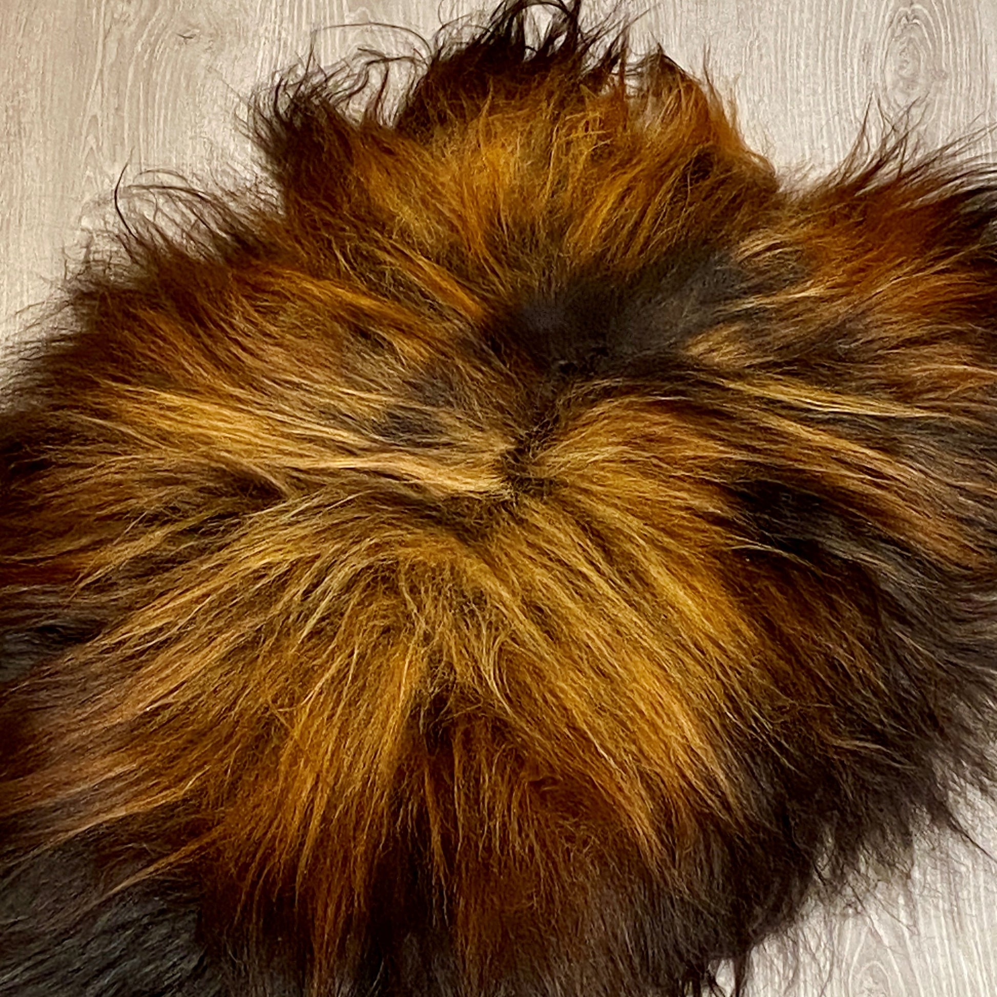 Island Schaffell Einzelstück schwarz gold 