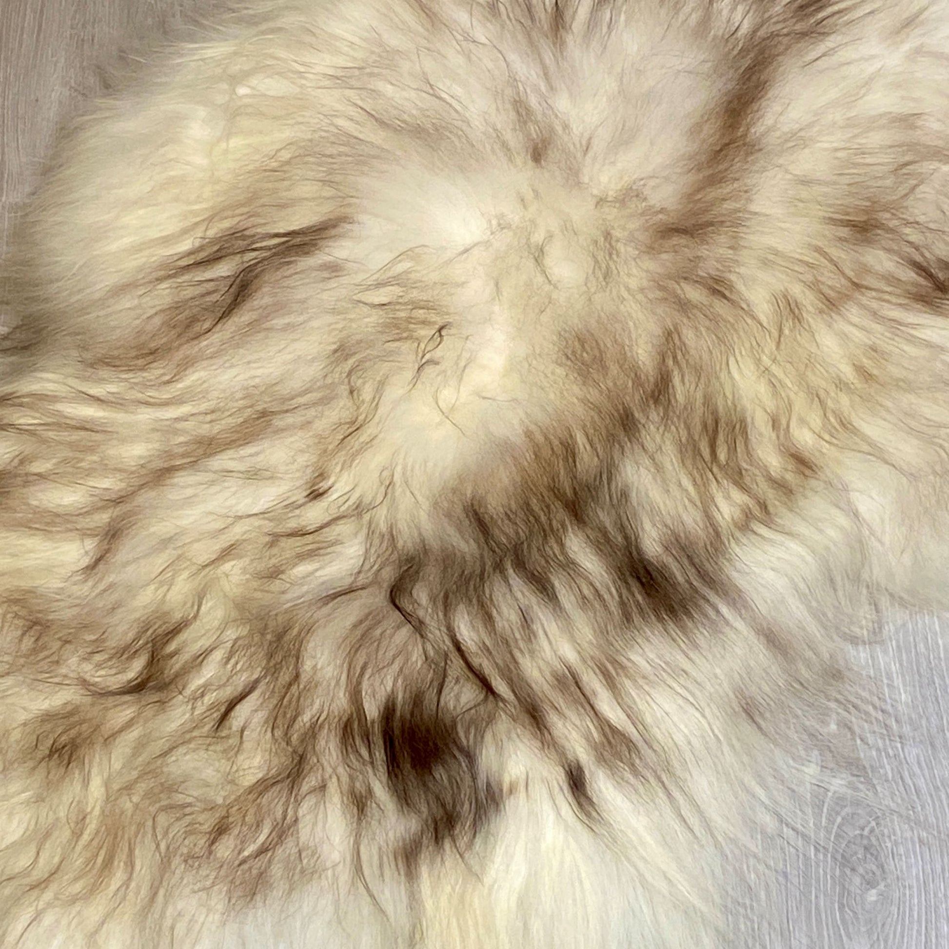 Island Schaffell Mufflon Grau