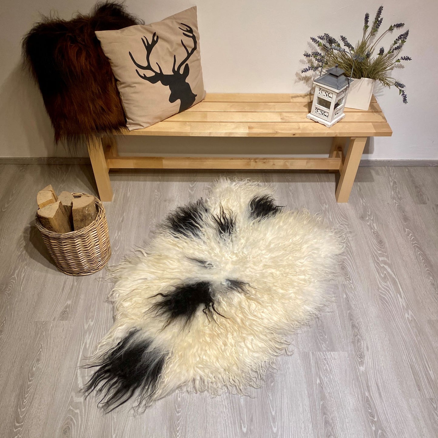 Island Schaffell gelockt weiß schwarz gefleckt