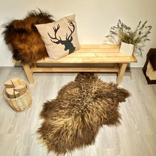 Island Schaffell gelockt Einzelstück goldbraun