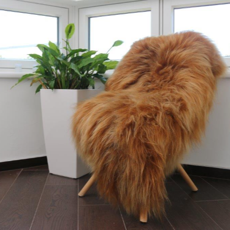 Island Schaffell Goldbraun