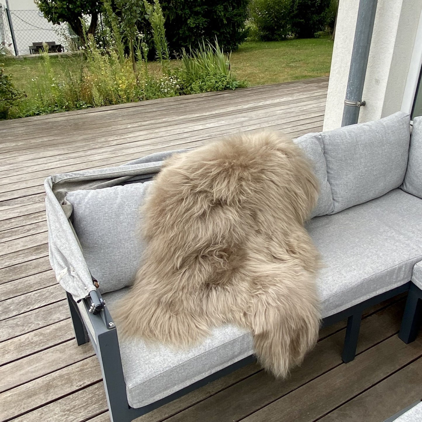 Island Schaffell Greige