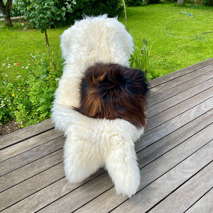 Schaffell Kissen 50x50cm | Farbe: Erde und Feuer