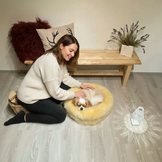 Lammfell Hundebett medizinisch gegerbt