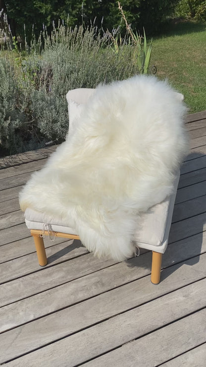 Iceland sheepskin white