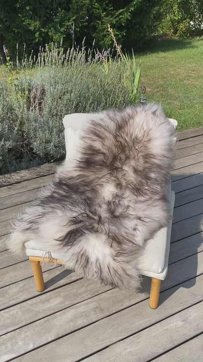 Iceland sheepskin mouflon black